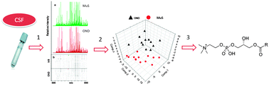 Graphical abstract: An integrated metabolomics approach for the research of new cerebrospinal fluid biomarkers of multiple sclerosis