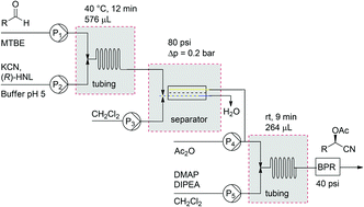 Graphical abstract: Chemoenzymatic flow cascade for the synthesis of protected mandelonitrile derivatives