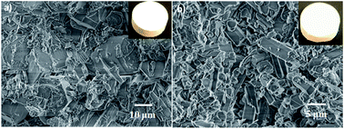 Graphical abstract: Aluminophosphate monoliths with high CO2-over-N2 selectivity and CO2 capture capacity