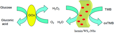 Graphical abstract: Hemin-functionalized WS2 nanosheets as highly active peroxidase mimetics for label-free colorimetric detection of H2O2 and glucose