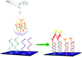 Graphical abstract: Biomarker detection technologies and future directions