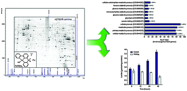 Graphical abstract: Proteomic analysis of the cytotoxic effects induced by the organogold(iii) complex Aubipyc in cisplatin-resistant A2780 ovarian cancer cells: further evidence for the glycolytic pathway implication