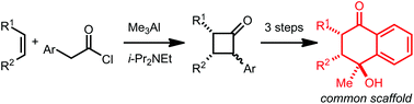 Graphical abstract: Lewis acid-promoted [2 + 2] cycloadditions of alkenes with aryl ketenes