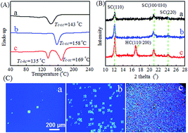 Graphical abstract: Stereocomplexation kinetics of enantiomeric poly(l-lactide)/poly(d-lactide) blends seeded by nanocrystalline cellulose