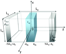 Graphical abstract: A molecular dynamics test of the Hertz–Knudsen equation for evaporating liquids