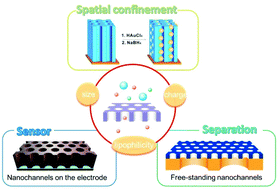Graphical abstract: Vertically ordered silica mesochannel films: electrochemistry and analytical applications