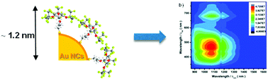 Graphical abstract: Superfluorinated and NIR-luminescent gold nanoclusters