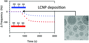 Graphical abstract: Interfacial properties of POPC/GDO liquid crystalline nanoparticles deposited on anionic and cationic silica surfaces