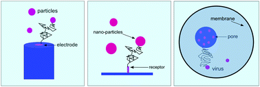 Graphical abstract: When does near-wall hindered diffusion influence mass transport towards targets?