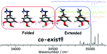 Graphical abstract: A conformational study of protonated noradrenaline by UV–UV and IR dip double resonance laser spectroscopy combined with an electrospray and a cold ion trap method