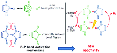 Graphical abstract: A very peculiar family of N-heterocyclic phosphines: unusual structures and the unique reactivity of 1,3,2-diazaphospholenes