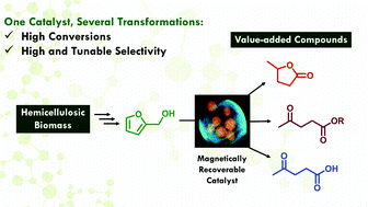 Graphical abstract: Magnetic ZSM-5 zeolite: a selective catalyst for the valorization of furfuryl alcohol to γ-valerolactone, alkyl levulinates or levulinic acid