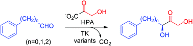 Graphical abstract: Engineering a thermostable transketolase for arylated substrates