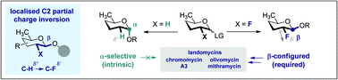 Graphical abstract: Fluorine-directed 1,2-trans glycosylation of rare sugars