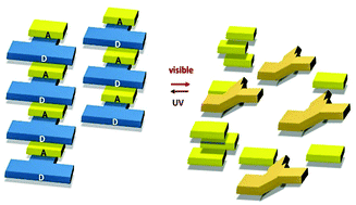 Graphical abstract: Light-triggered assembly–disassembly of an ordered donor–acceptor π-stack using a photoresponsive dimethyldihydropyrene π-switch