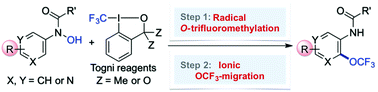 Graphical abstract: Mechanistic studies on intramolecular C–H trifluoromethoxylation of (hetero)arenes via OCF3-migration