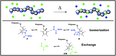 Graphical abstract: Investigation of the dynamic nature of 1,2-oxazines derived from peralkylcyclopentadiene and nitrosocarbonyl species