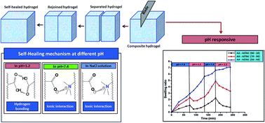 Graphical abstract: Synthesis of a self-healable and pH responsive hydrogel based on an ionic polymer/clay nanocomposite