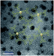 Graphical abstract: Gold nanoparticles encapsulated in hierarchical porous polycarbazole: preparation and application in catalytic reduction