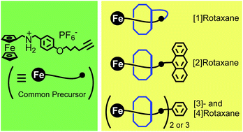 Graphical abstract: Ferrocene-containing [1]-, [2]-, [3]- and [4]rotaxanes synthesized from a common precursor