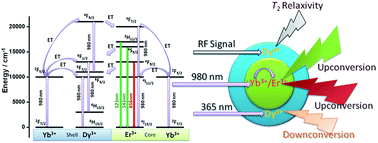 Graphical abstract: Multifunctional β-NaGdF4:Ln3+ (Ln = Yb, Er, Dy) nanoparticles with NIR to visible upconversion and high transverse relaxivity: a potential bimodal contrast agent for high-field MRI and optical imaging