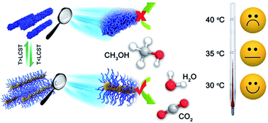 Graphical abstract: Catalytic activities for methanol oxidation on ultrathin CuPt3 wavy nanowires with/without smart polymer