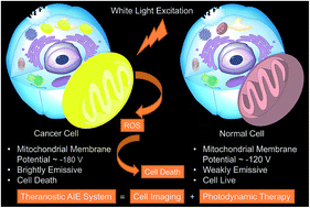 Graphical abstract: AIE-active theranostic system: selective staining and killing of cancer cells