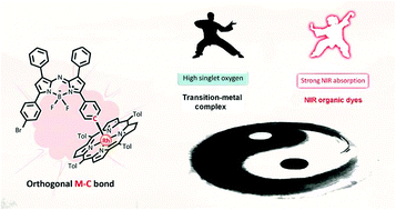 Graphical abstract: Synthesis and photophysical properties of orthogonal rhodium(iii)–carbon bonded porphyrin–aza-BODIPY conjugates