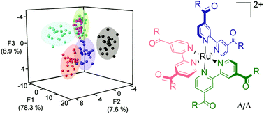 Graphical abstract: Protein sensing and discrimination using highly functionalised ruthenium(ii) tris(bipyridyl) protein surface mimetics in an array format