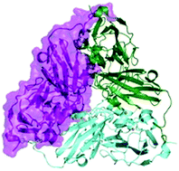 Graphical abstract: Recent structural insights into the function of copper nitrite reductases