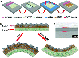 Graphical abstract: A small graphene oxide sheet/polyvinylidene fluoride bilayer actuator with large and rapid responses to multiple stimuli