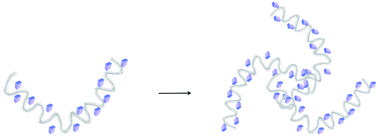 Graphical abstract: Transformable protein–gold hybrid materials serve as supramolecular vehicles for gene delivery