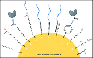 Graphical abstract: How to make nanobiosensors: surface modification and characterisation of nanomaterials for biosensing applications