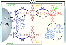 Graphical abstract: Harnessing molecular photon upconversion at sub-solar irradiance using dual sensitized self-assembled trilayers