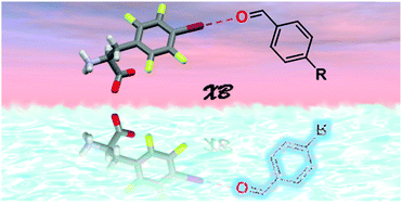 Graphical abstract: A halogen bond-donor amino acid for organocatalysis in water