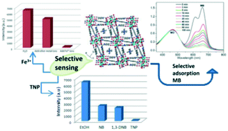 Graphical abstract: A stable anionic metal–organic framework with open coordinated sites: selective separation toward cationic dyes and sensing properties