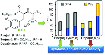 Graphical abstract: Self-assembly and biological activities of ionic liquid crystals derived from aromatic amino acids