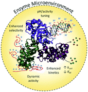 Graphical abstract: Engineering enzyme microenvironments for enhanced biocatalysis