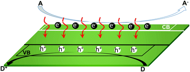 Graphical abstract: Unique physicochemical properties of two-dimensional light absorbers facilitating photocatalysis