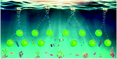 Graphical abstract: Ultrathin CdS shell-sensitized hollow S-doped CeO2 spheres for efficient visible-light photocatalysis