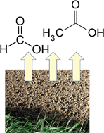 Graphical abstract: Emission of formic and acetic acids from two Colorado soils