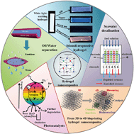 Graphical abstract: Emerging investigator series: design of hydrogel nanocomposites for the detection and removal of pollutants: from nanosheets, network structures, and biocompatibility to machine-learning-assisted design