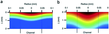 Graphical abstract: Powering ex vivo tissue models in microfluidic systems