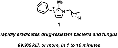 Graphical abstract: Rapid kill assessment of an N-arylated NH125 analogue against drug-resistant microorganisms