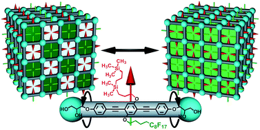 Graphical abstract: An Ising transition of chessboard tilings in a honeycomb liquid crystal