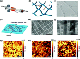 Graphical abstract: Flexible photodetectors based on reticulated SWNT/perovskite quantum dot heterostructures with ultrahigh durability