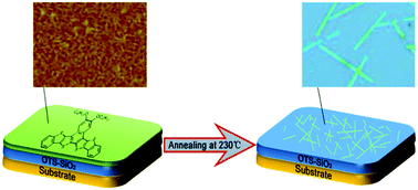 Graphical abstract: High-performance organic field-effect transistors based on organic single crystal microribbons fabricated by an in situ annealing method