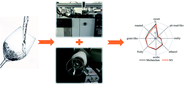 Graphical abstract: Characterization of key aroma compounds in Meilanchun sesame flavor style baijiu by application of aroma extract dilution analysis, quantitative measurements, aroma recombination, and omission/addition experiments