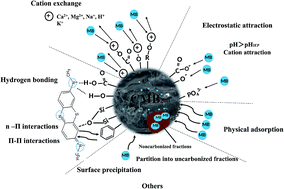 Graphical abstract: Removal of methylene blue from aqueous solution by cattle manure-derived low temperature biochar