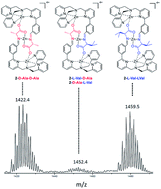 Graphical abstract: Diasteroselective multi-component assemblies from dynamic covalent imine condensation and metal-coordination chemistry: mechanism and narcissistic stereochemistry self-sorting